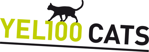 Yel100 Cats